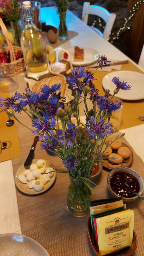 Avise Beb Luca76 Bed & Breakfast エクステリア 写真